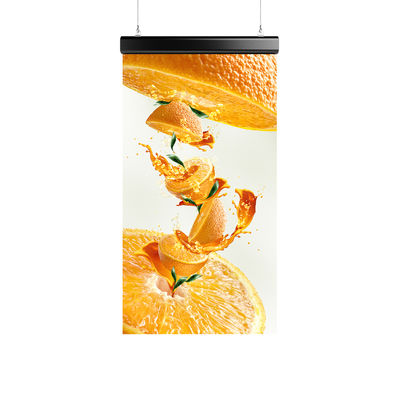 Buen precio SculptStone Holográfico Invisible Screen Poster Serie Gran tamaño 55